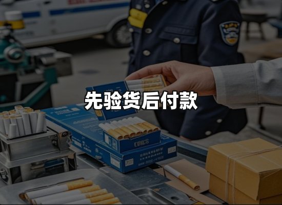 专业优势